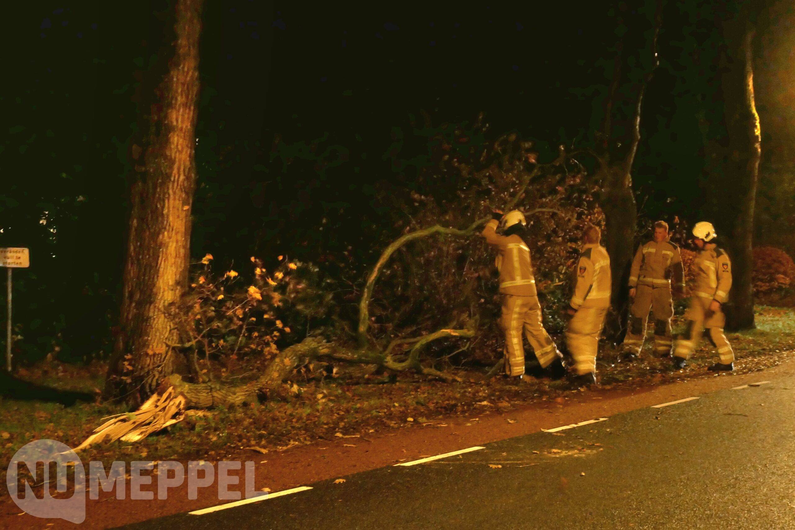 Grote takken afgebroken door storm Conall op Heerenweg in IJhorst