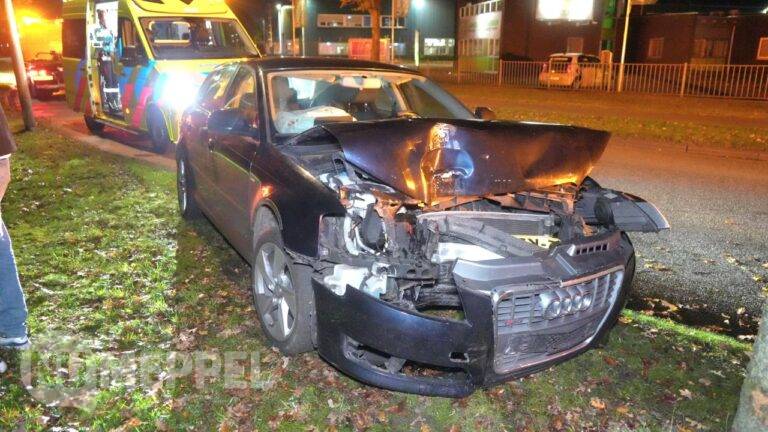Automobilist rijdt tegen boom op Europaweg in Hoogeveen