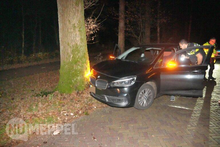 Auto botst tegen boom op de Bosweg bij Diever