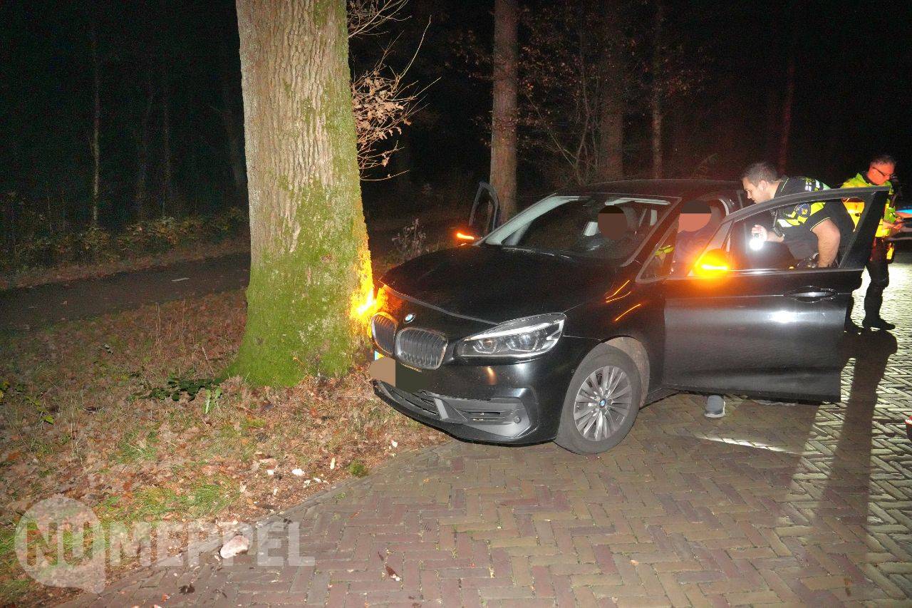 Auto botst tegen boom op de Bosweg bij Diever