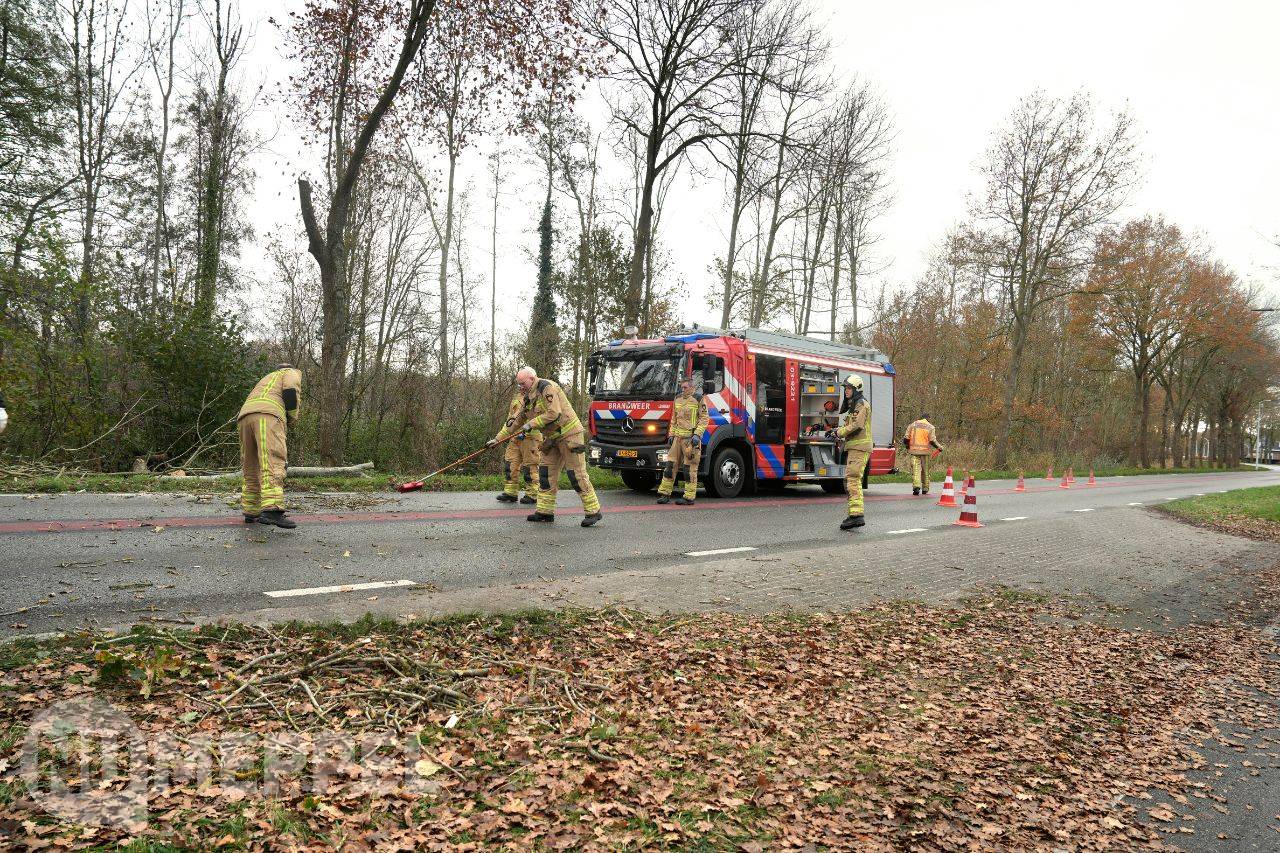 Boom valt over Steenwijkerstraatweg in Meppel: weg tijdelijk afgesloten