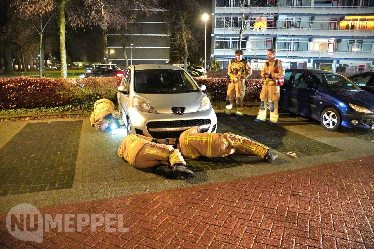 Auto-toeter zorgt voor overlast in Govaert Flinckstraat in Meppel