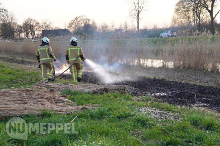 Bermbrand langs N375 bij Meppel