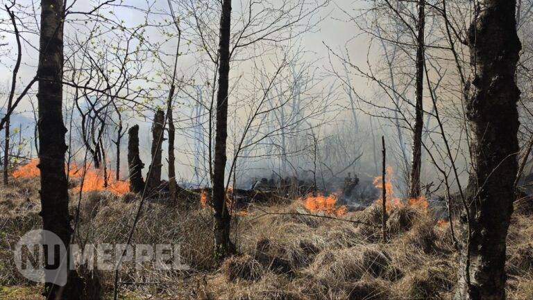 Brandweer voorkomt escalatie bij natuurbrand Dwingelderveld nabij Ansen