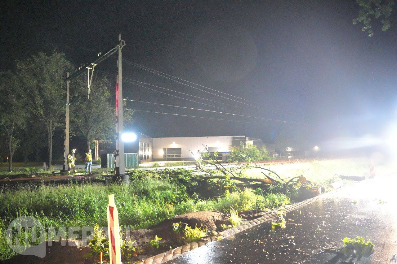 Boom op spoor en weg na noodweer: geen treinverkeer tussen Meppel en Zwolle